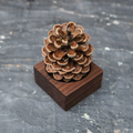Pinecone Wooden Essential Oil Diffuser-0