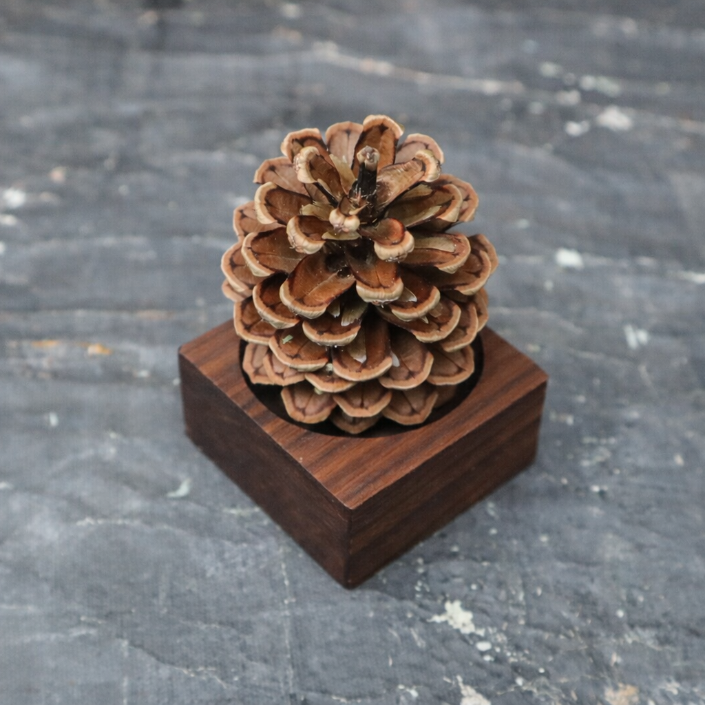Pinecone Wooden Essential Oil Diffuser-0