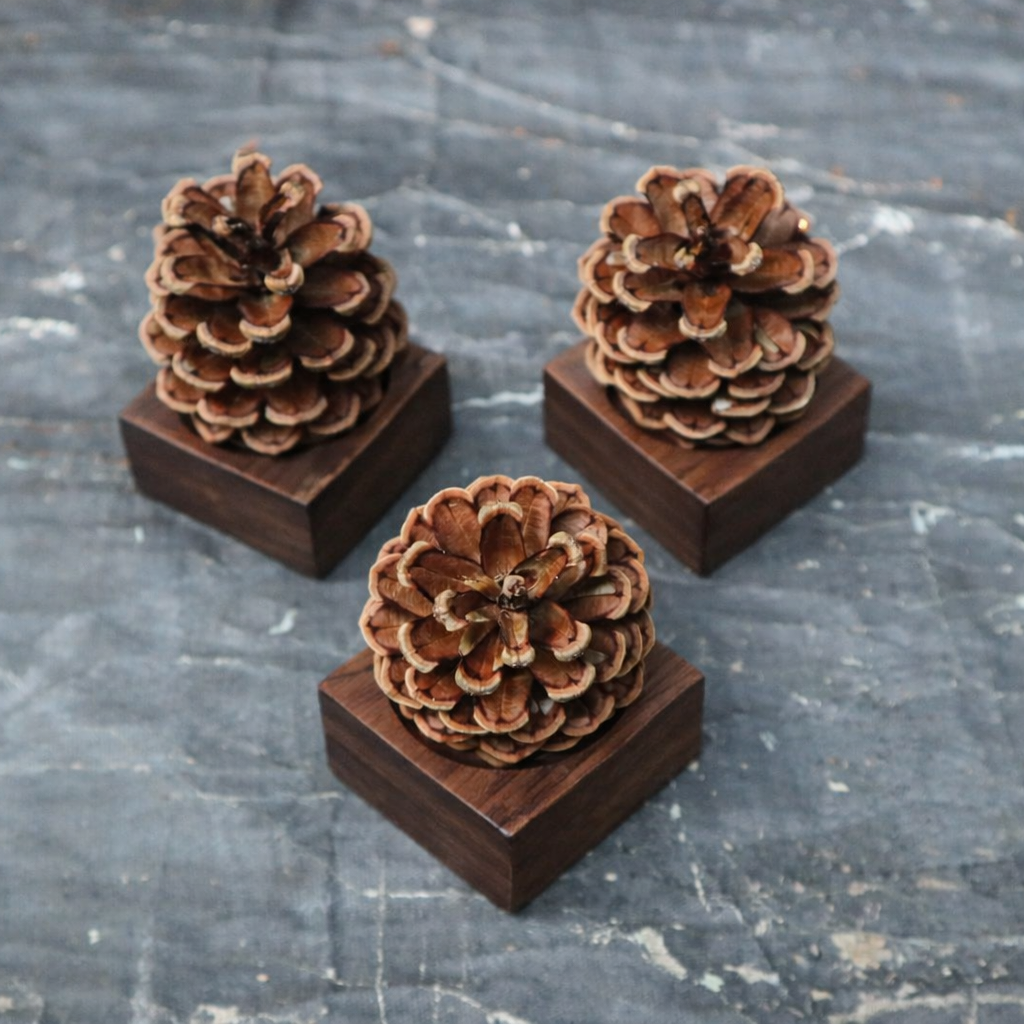 Pinecone Wooden Essential Oil Diffuser-4