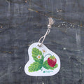 Strawberry Patch - Pop Up Sponge-0