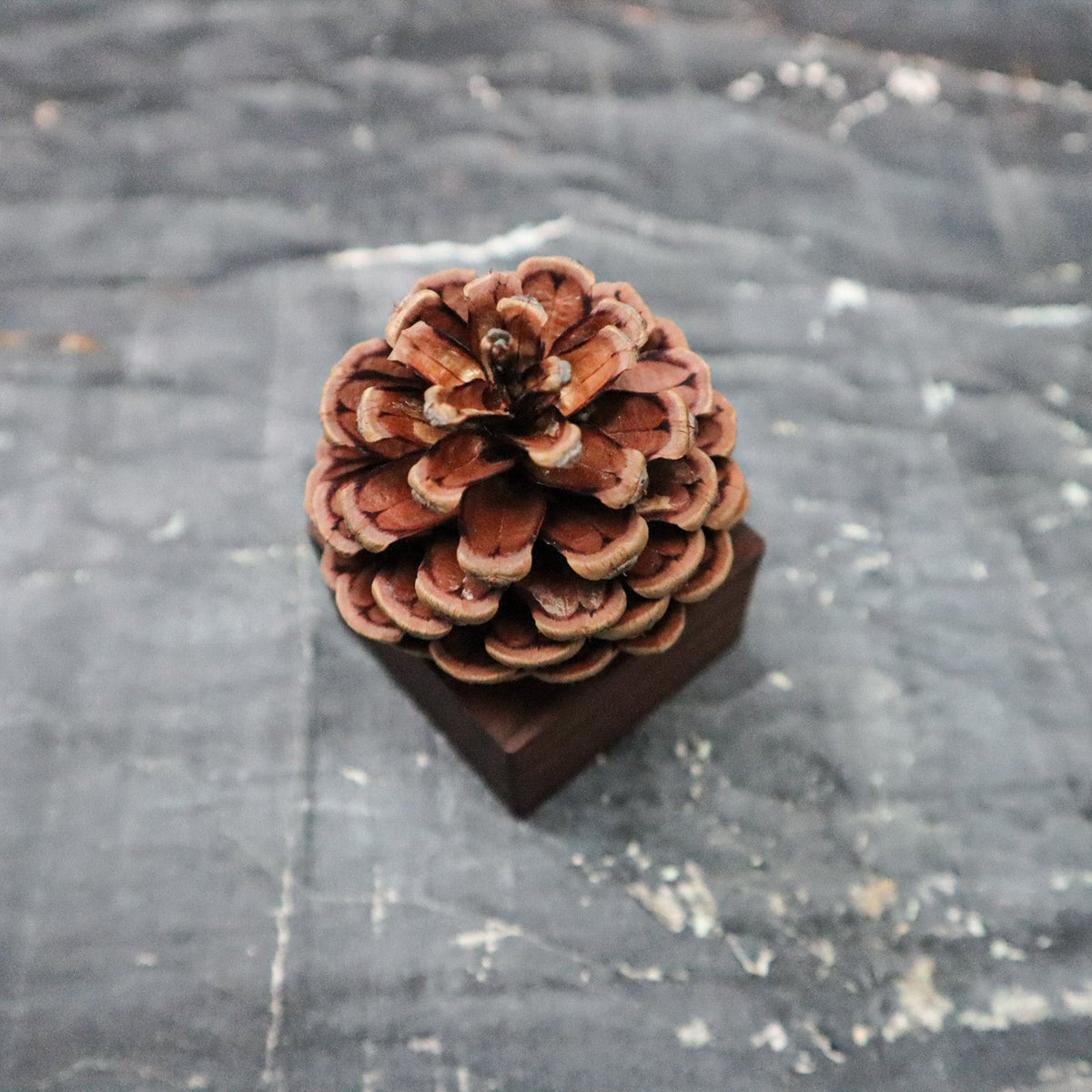Pinecone Wooden Essential Oil Diffuser-2